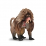  COLLECTA DŻELADA BRUNATNA