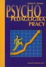 Psychopedagogika pracy