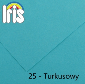 Karton kolorowy Canson (200040170) - Fila Polska