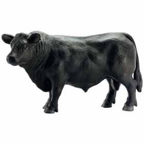 Angus czarny byk - 13766