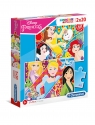 Puzzle SuperColor 2x20: Disney Princess (24766) Kevin Prenger
