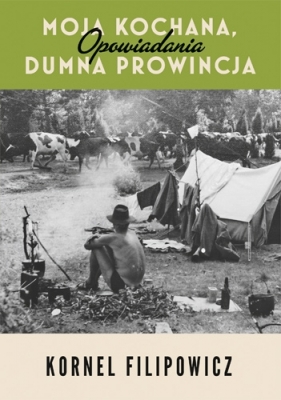 Moja kochana, dumna prowincja - Kornel Filipowicz