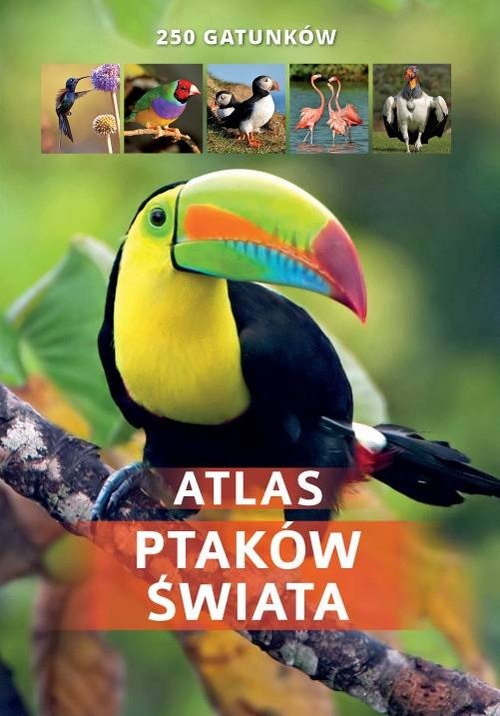 Atlas ptaków świata 250 gatunków (Uszkodzona okładka)