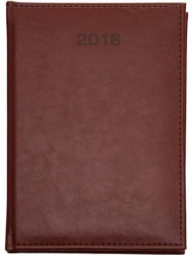 Książkowy A4 Dzienny 2018 - Nebraska brąz