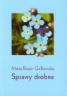 Sprawy drobne  Braun-Gałkowska Maria