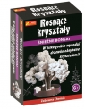 Śnieżne bonsai Rosnące kryształy