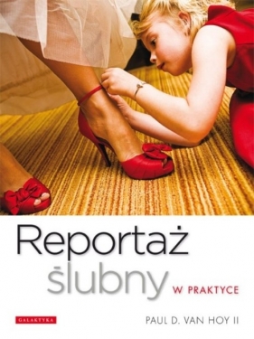 Reportaż ślubny w praktyce - Paul D. Hoy