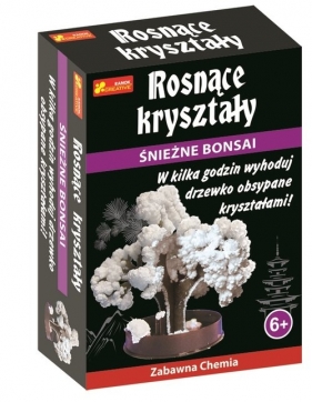 Śnieżne bonsai