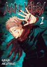 Jujutsu Kaisen. Tom 1 Gege Akutami