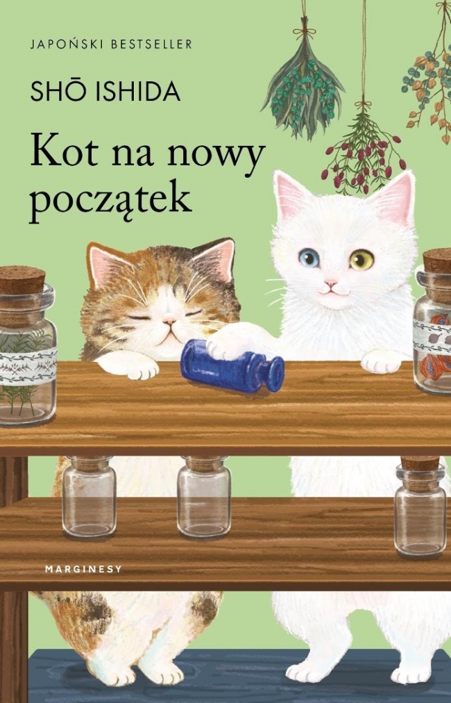 Kot na nowy początek