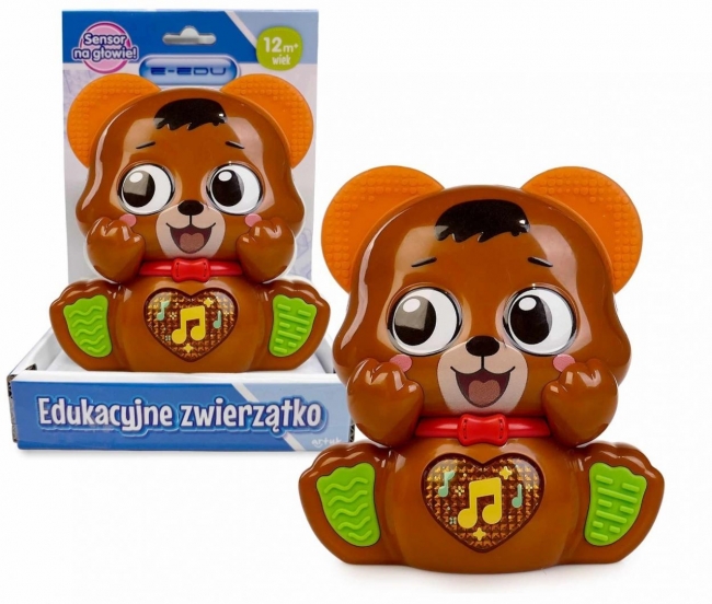 Muzyczny miś e-edu