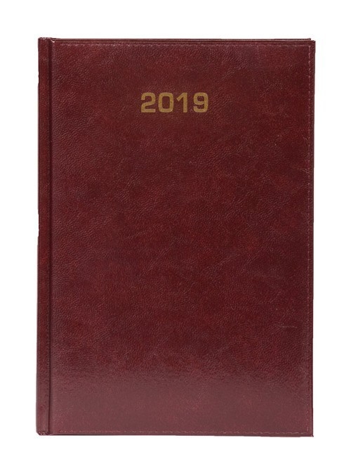 Kalendarz 2019 książkowy A5 dzien.Baladek BORD