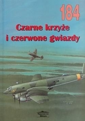 Czarne krzyże i czarwone gwiazdy vol.184 - Wiktor Iwanow