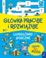 Główka pracuje i rozwiązuje. Łamigłówki logiczne