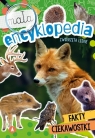 Mała encyklopedia. Zwierzęta leśne Ślizowska Monika