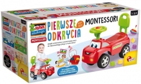 Zabawa edukacja Montessori - Pierwsze odkrycia (PL76567)