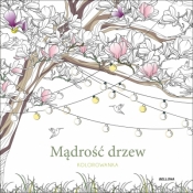Mądrość drzew (kolorowanka) - Sara Muzio
