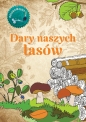 Dary naszych lasów. Kolorowanka - Kinga Kulawiecka