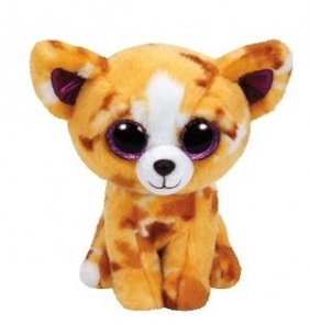 Maskotka Beanie Boos Pablo - Piesek Chihuahua 24cm (TY 37066)