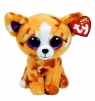 Maskotka Beanie Boos Pablo - Piesek Chihuahua 24cm (TY 37066)