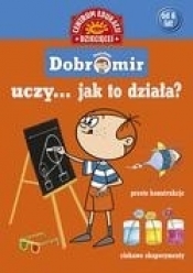 Pomysłowy Dobromir uczy... Jak to działa? - Jolanta Pol