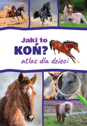 Jaki to koń? Atlas dla dzieci - Jacek Twardowski, Kamila Twardowska