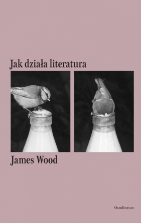 Jak działa literatura - James Wood