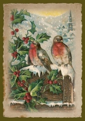 Karnet ST466 B6 + koperta Święta Ptaki