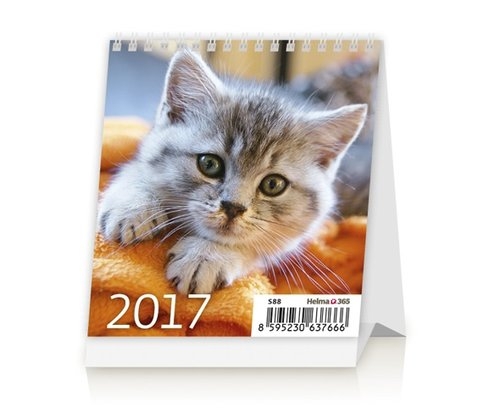 Kalendarz 2017 Mini Kittens