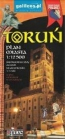 Toruń 1:12 500