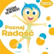 W głowie sie nie mieści Poznaj Radość (09667)