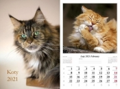 Kalendarz planszowy 2021 - Koty 7