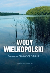 Wody Wielkopolski
