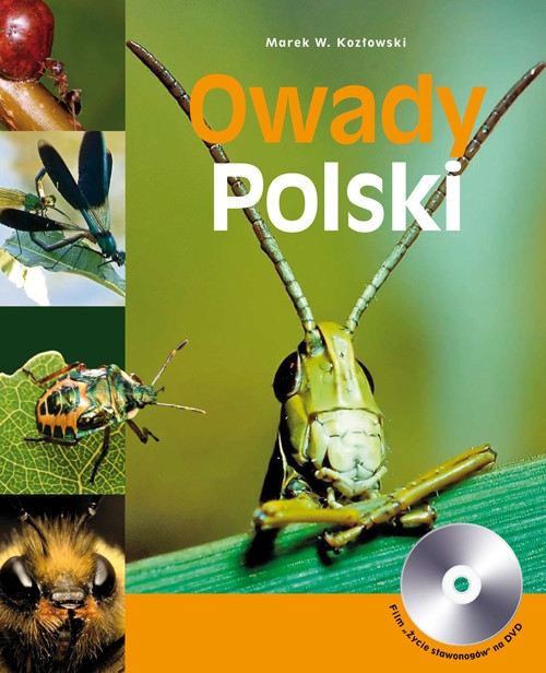 Owady Polski z płytą CD