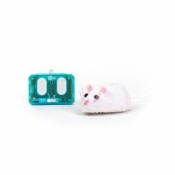 Hexbug Mysz zabawka dla kota sterowana