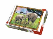 Puzzle 3000 - Sawanna