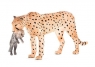 Samica geparda z młodym ANIMAL PLANET