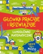 Główka pracuje i rozwiązuje. Łamigłówki matematyczne - M. Victoria Williams