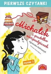 Pierwsze czytanki Michałek i pudełko niespodzianek Poziom 3 - Agnieszka Stelmaszyk