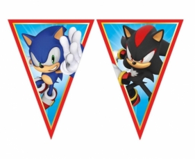 Banner Sonic flagi