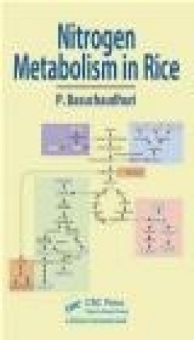 Nitrogen Metabolism in Rice Pranab Basuchaudhuri