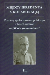 Między irredentą a kolaboracją - <br />