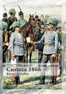 Custoza 1866. Bitwa narodów Marcin Suchacki