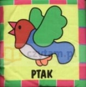 Ptak - Opracowanie zbiorowe