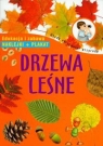 Drzewa leśne