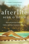 Afterlife O'Brien Sean