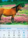 Kalendarz 2011 KT17 Koń trójdzielny