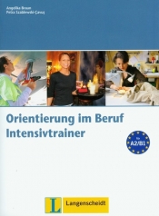 Intensivtrainer zu Orientierungim Beruf z płytą CD