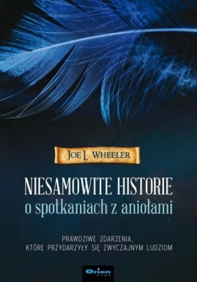 Niesamowite historie o spotkaniach z aniołami - Joe L. Wheeler