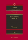 System Prawa Karnego Procesowego Tom 1 Zagadnienia ogólne Część 2